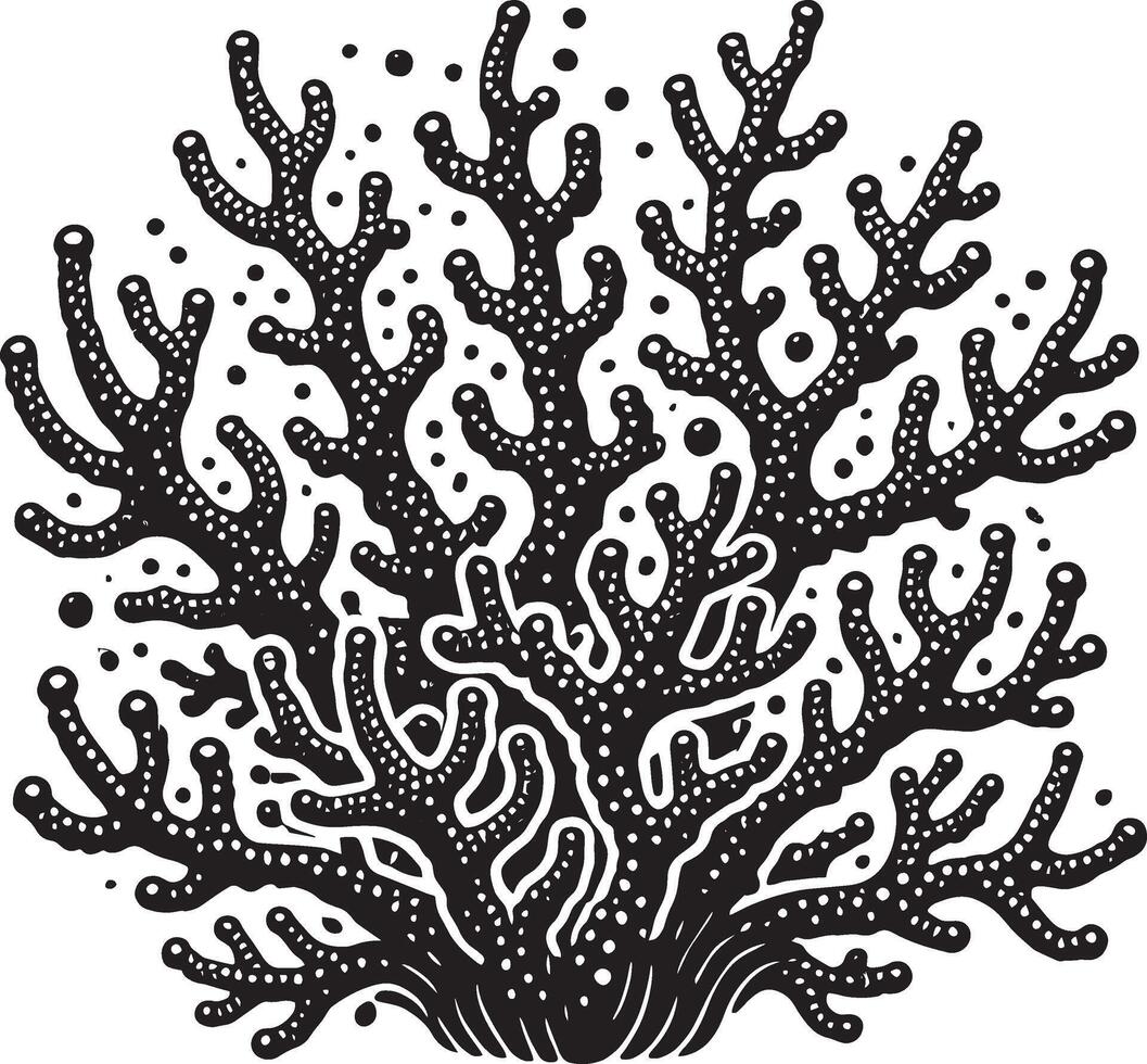 Delicate branching coral shadow illustration on white background vector