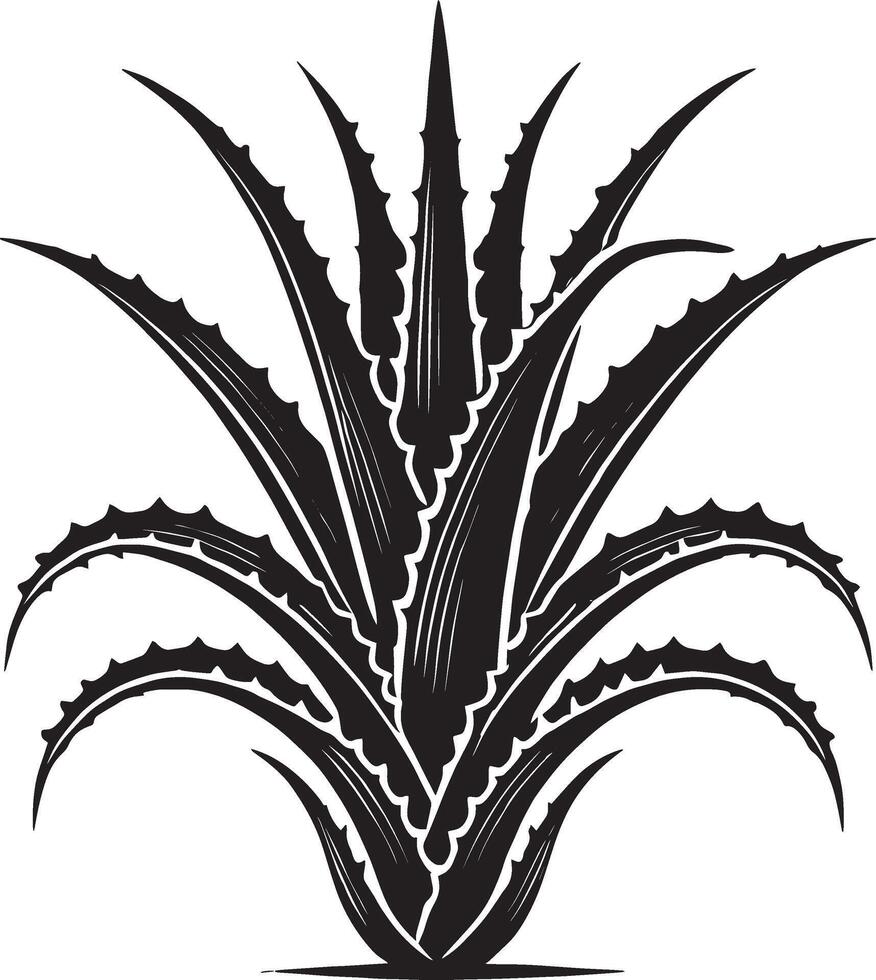 Elegant aloe vera silhouette on a crisp white background vector