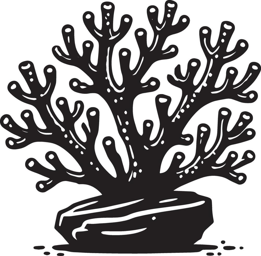 Beautifully crafted marine coral shadow illustration on white vector