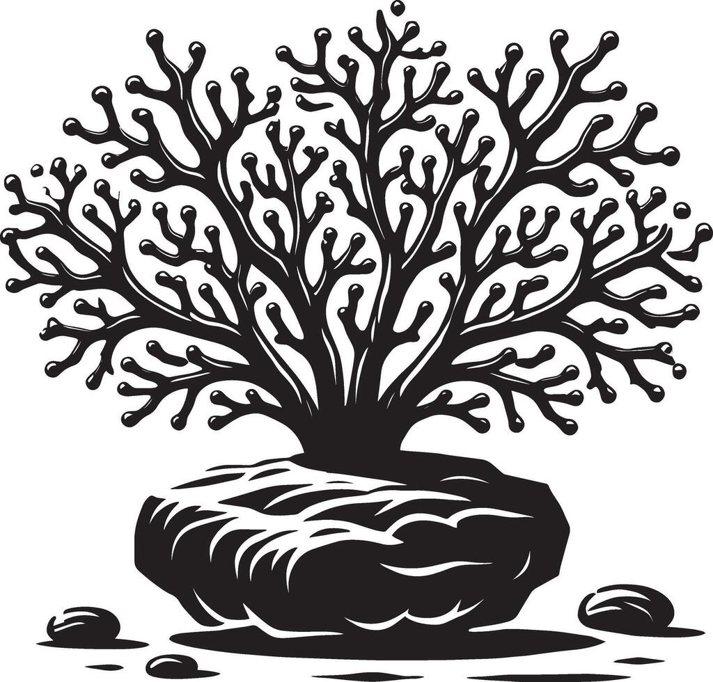 Subtle underwater coral silhouette on white vector