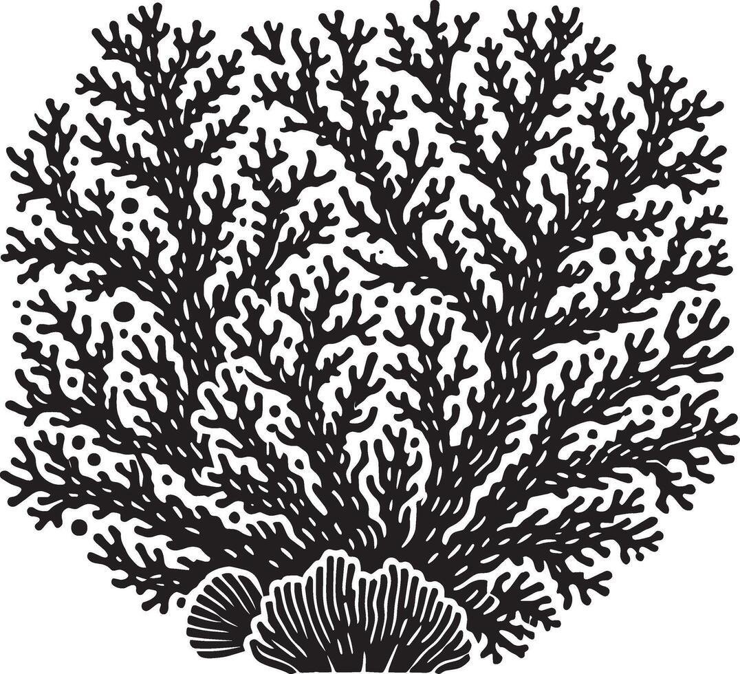 Bold marine coral shadow silhouette on white vector
