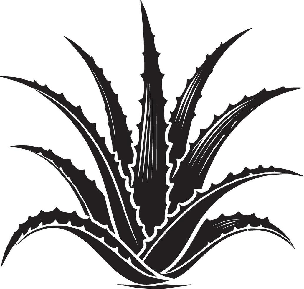 Minimalist aloe vera plant shadow illustration on white vector