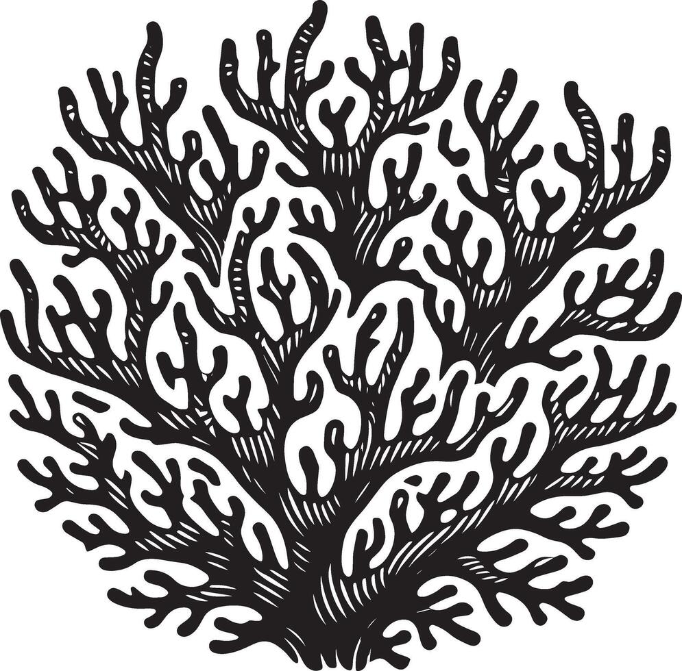 Artistic coral silhouette showcasing underwater beauty on white vector