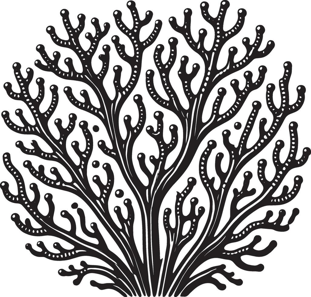 Lovely underwater coral shape silhouette on a white canvas vector