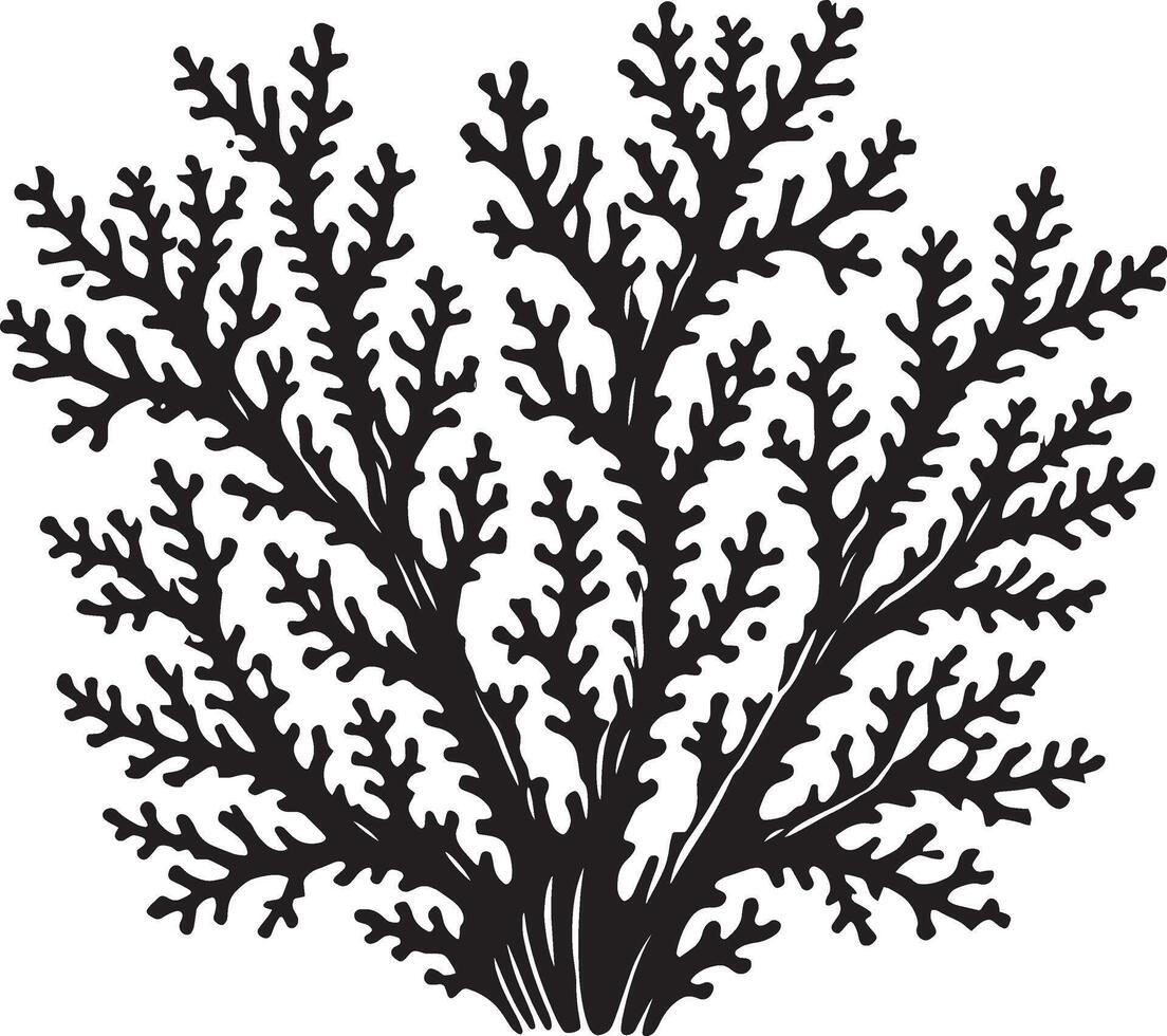 Black silhouette of sea coral on a white background vector