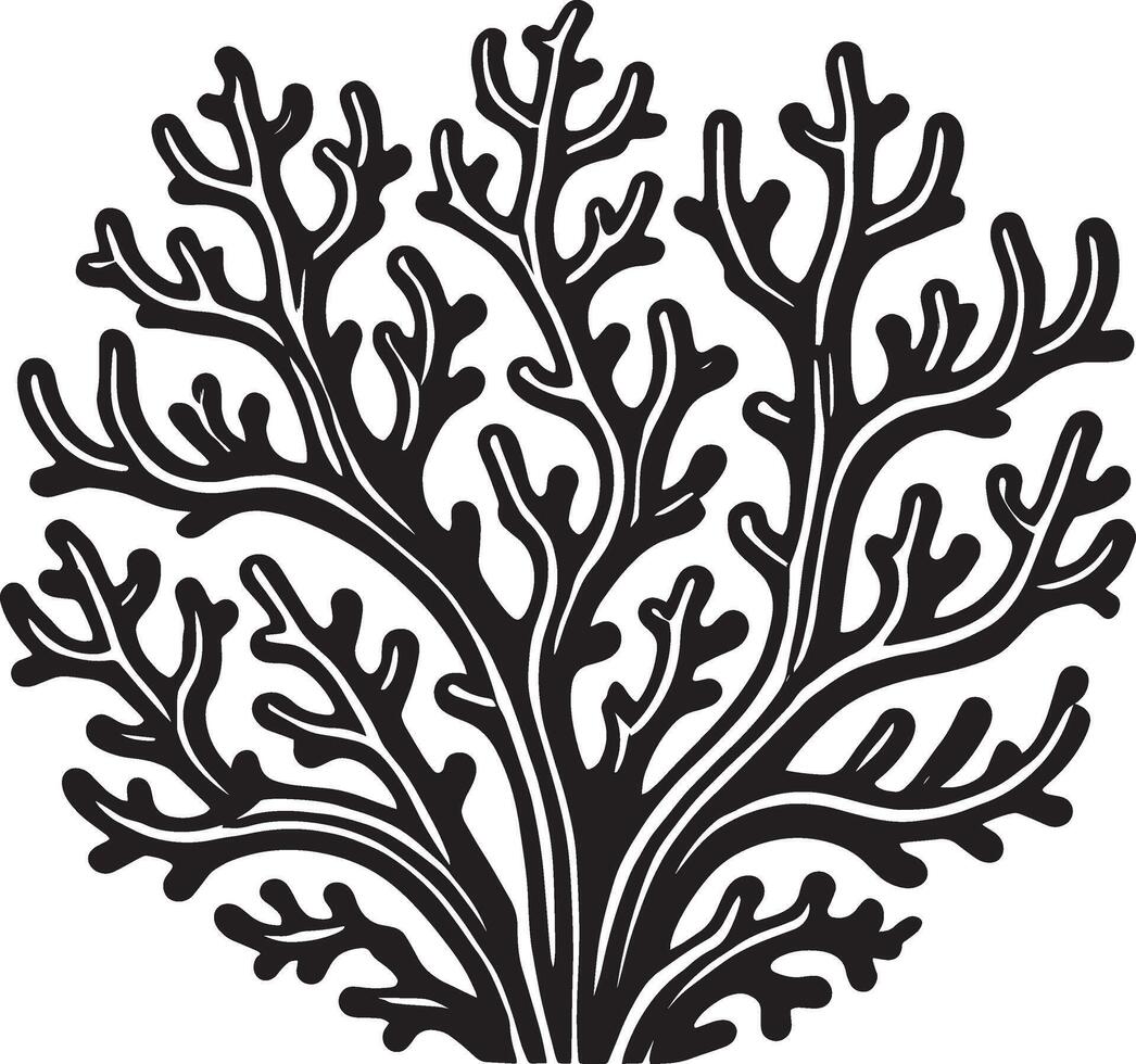 Lovely marine coral shadow illustration on white vector