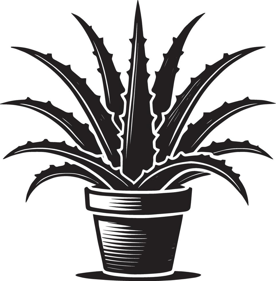 Creative aloe vera in planter shadow design on a pristine white backdrop vector