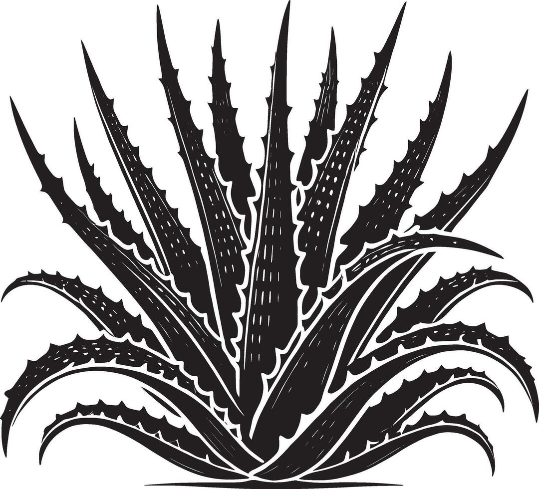 Bold aloe vera shadow illustration against a pure white background vector