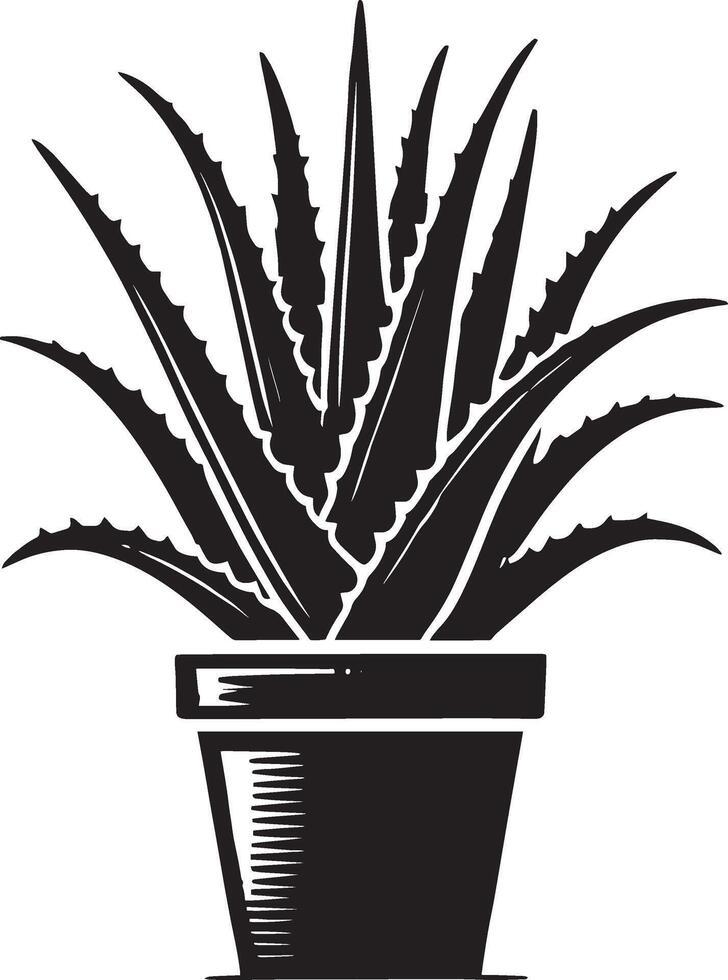 Dynamic aloe vera in pot shape shadow illustration on white background vector