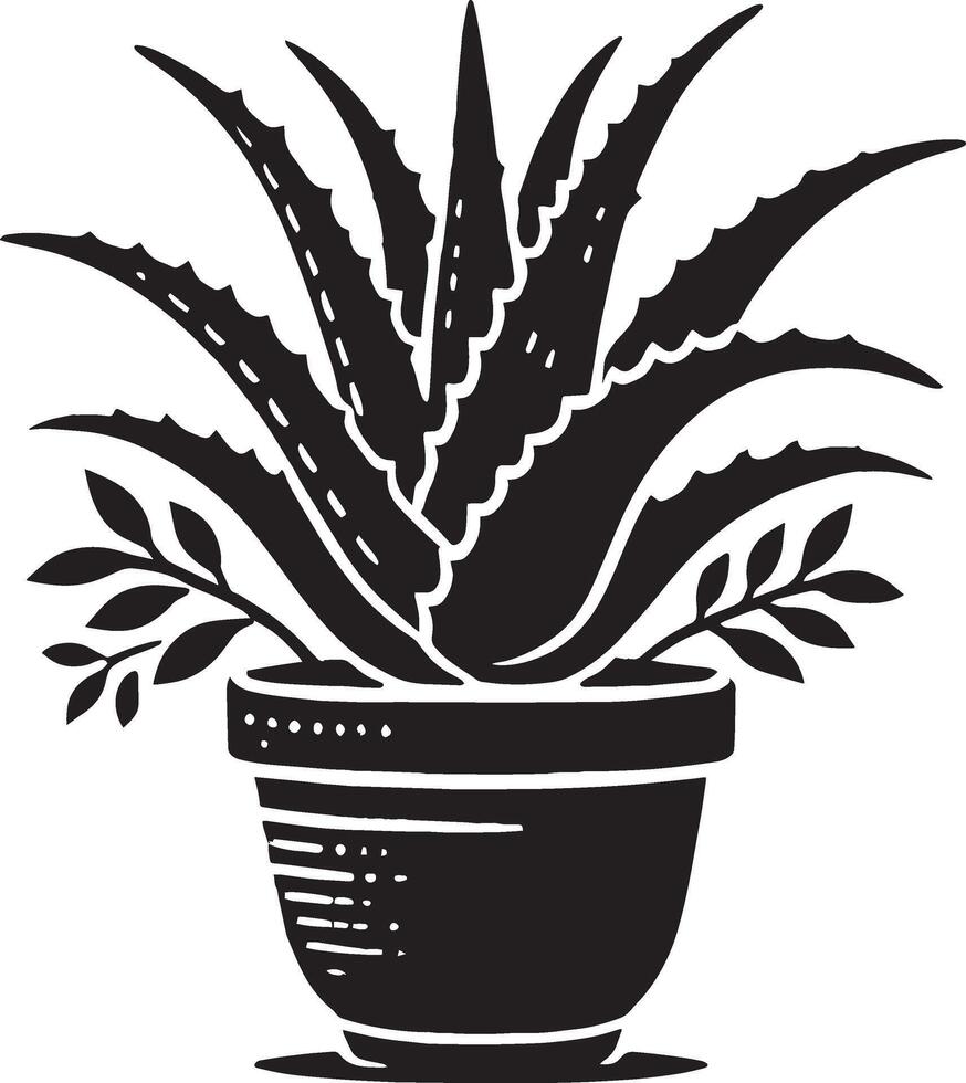 Harmonious aloe vera in pot shape design isolated on white vector