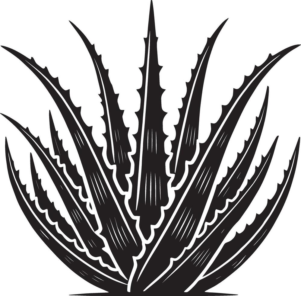 Timeless aloe vera artwork in silhouette on white vector