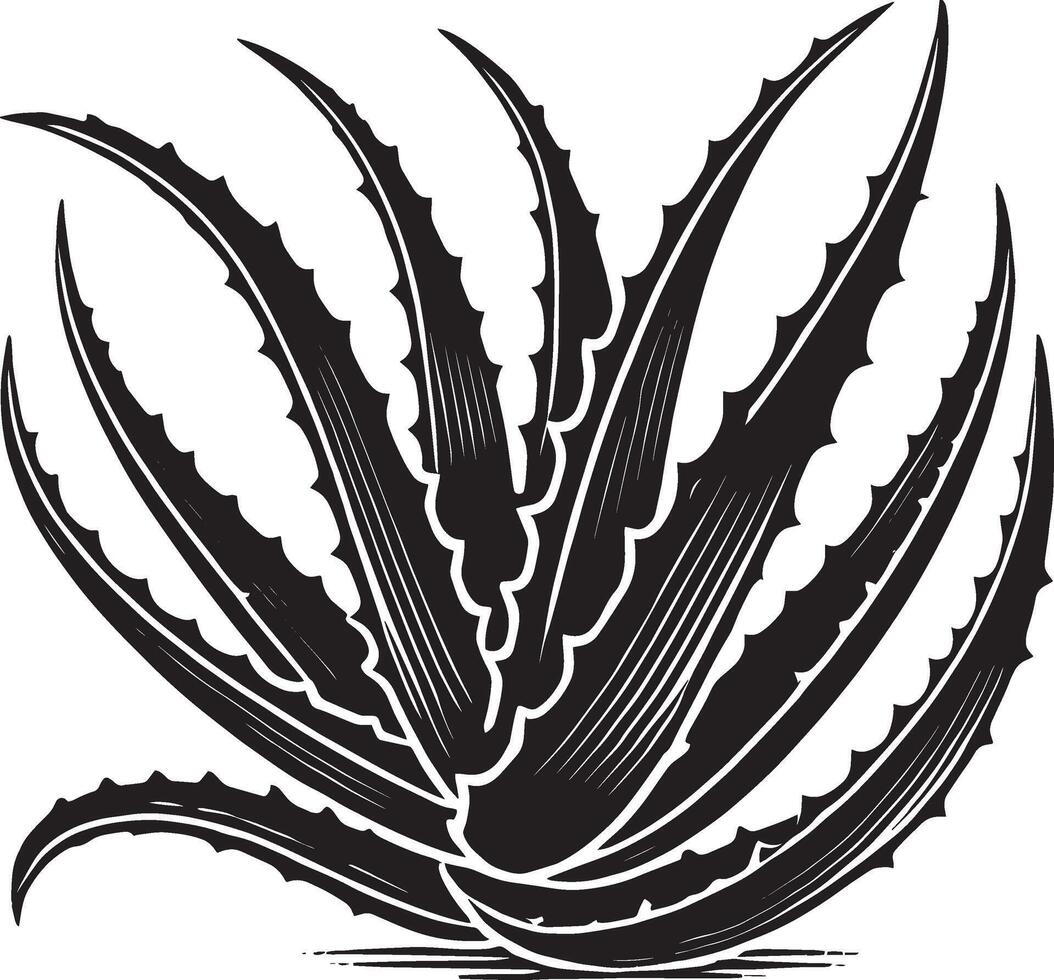 Unique aloe vera plant shape silhouette on a pure white canvas vector
