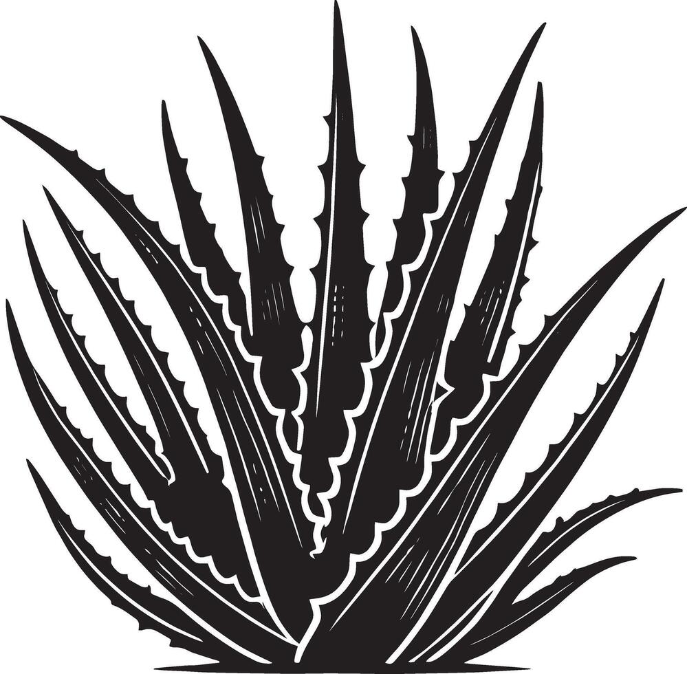 Stunning aloe vera shadow design on a clean white backdrop vector