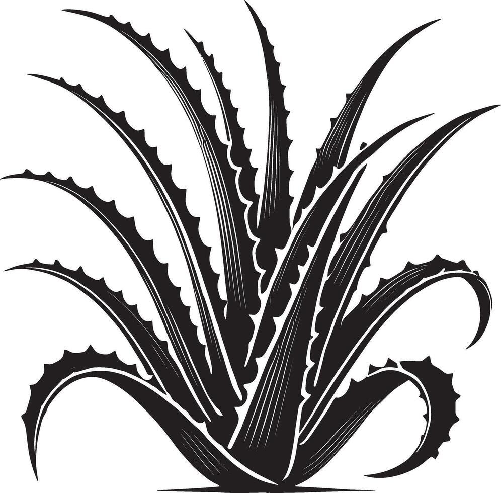 Vibrant aloe vera silhouette design on white plant theme vector