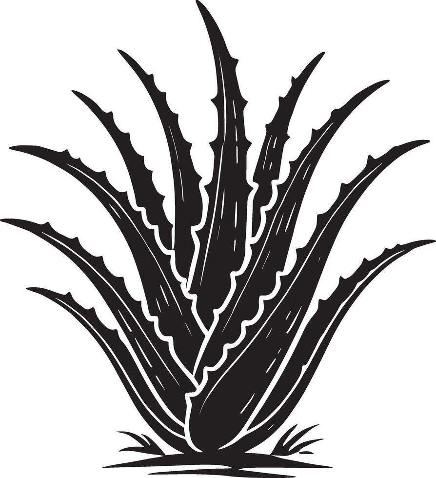 Bold aloe vera icon shape illustration isolated on white vector