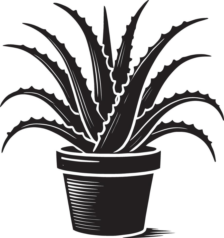 Modern aloe vera plant in pot shadow artwork on white background vector