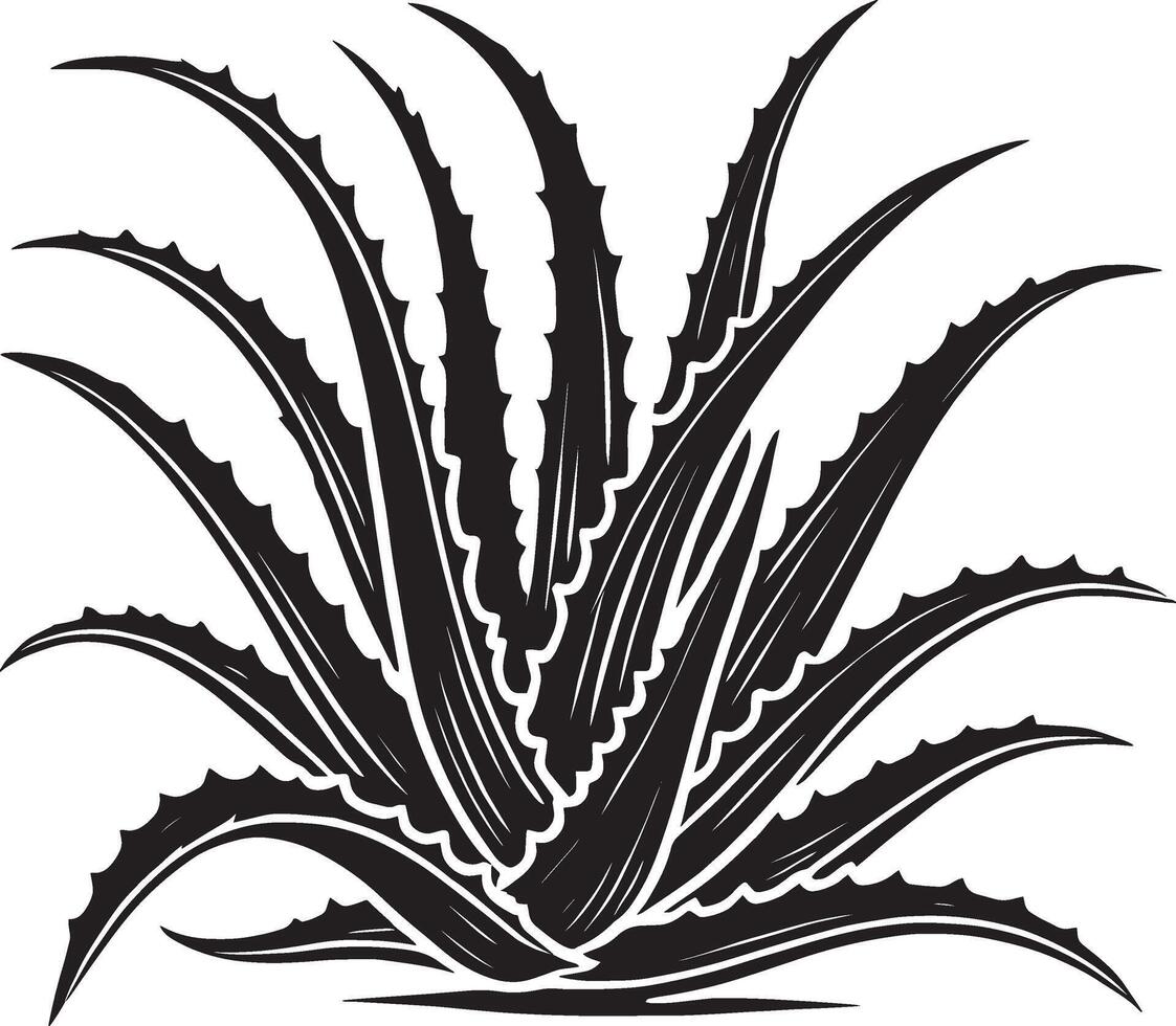 Graceful aloe vera shape icon on plain white background vector