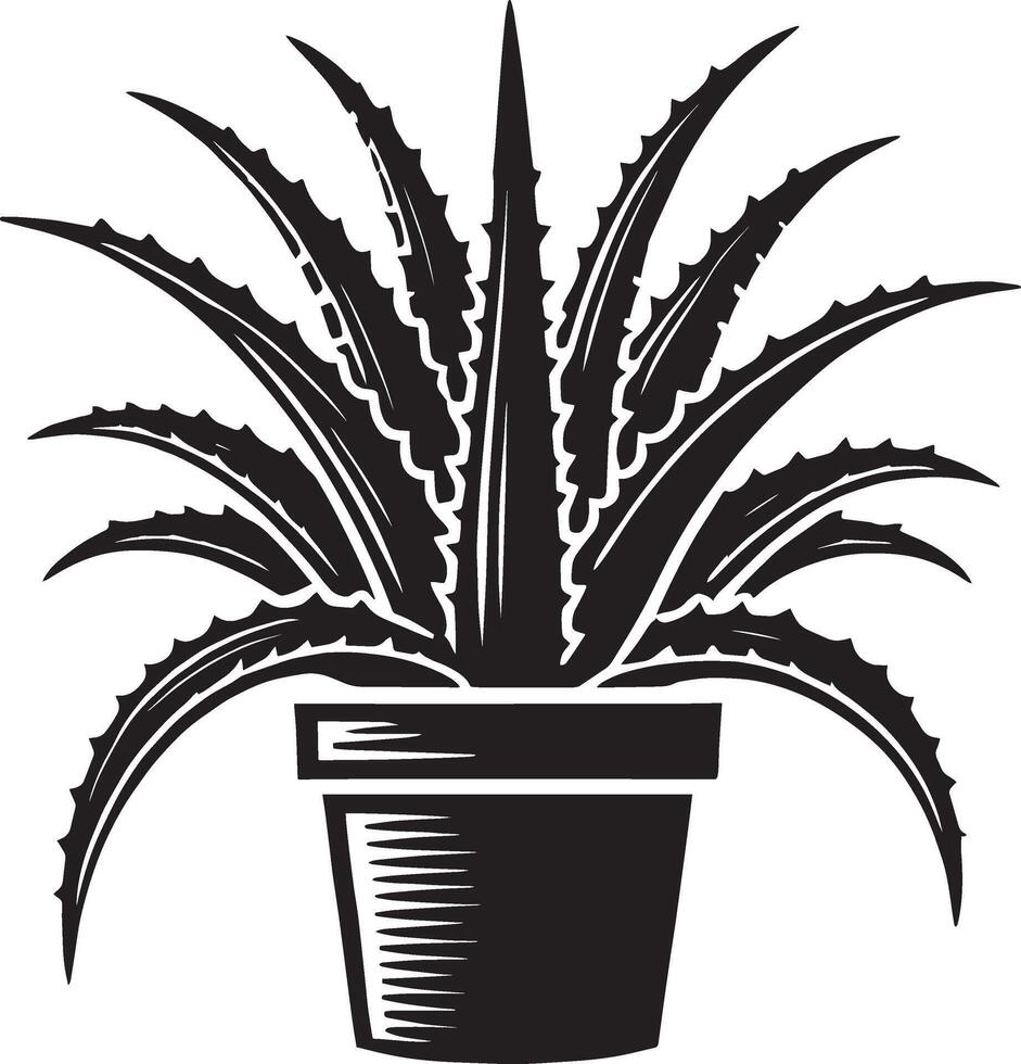 Beautiful aloe vera plant in pot artwork on clean white background vector