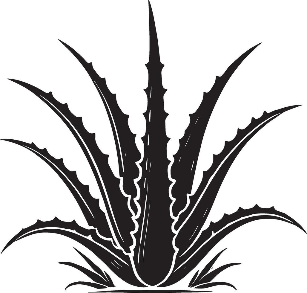 Delicate aloe vera icon design on pure white vector
