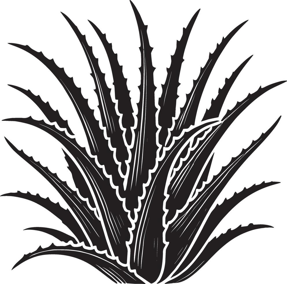 Artistic aloe vera shadow artwork on a crisp white canvas vector