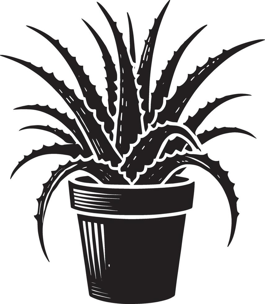 Simple aloe vera potted plant shadow illustration on clean white vector