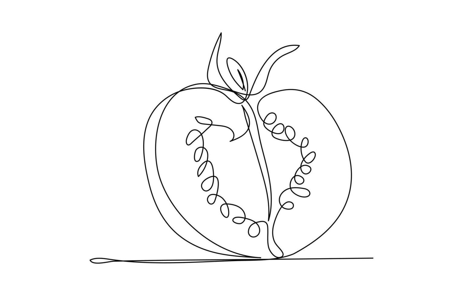 Continuous one line tomato for grocery store, printing on posters and banners. Linear style vector