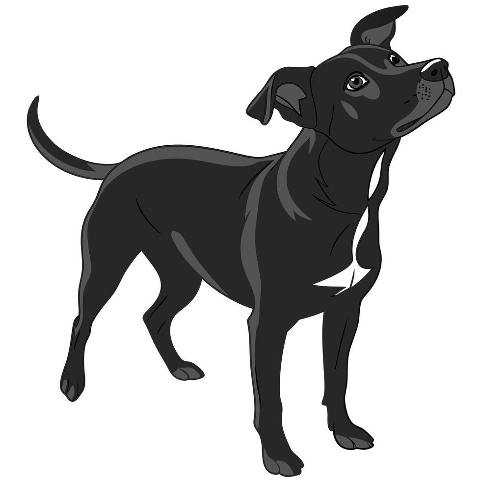 a black dog with a black tail and a black dog on the front. vector
