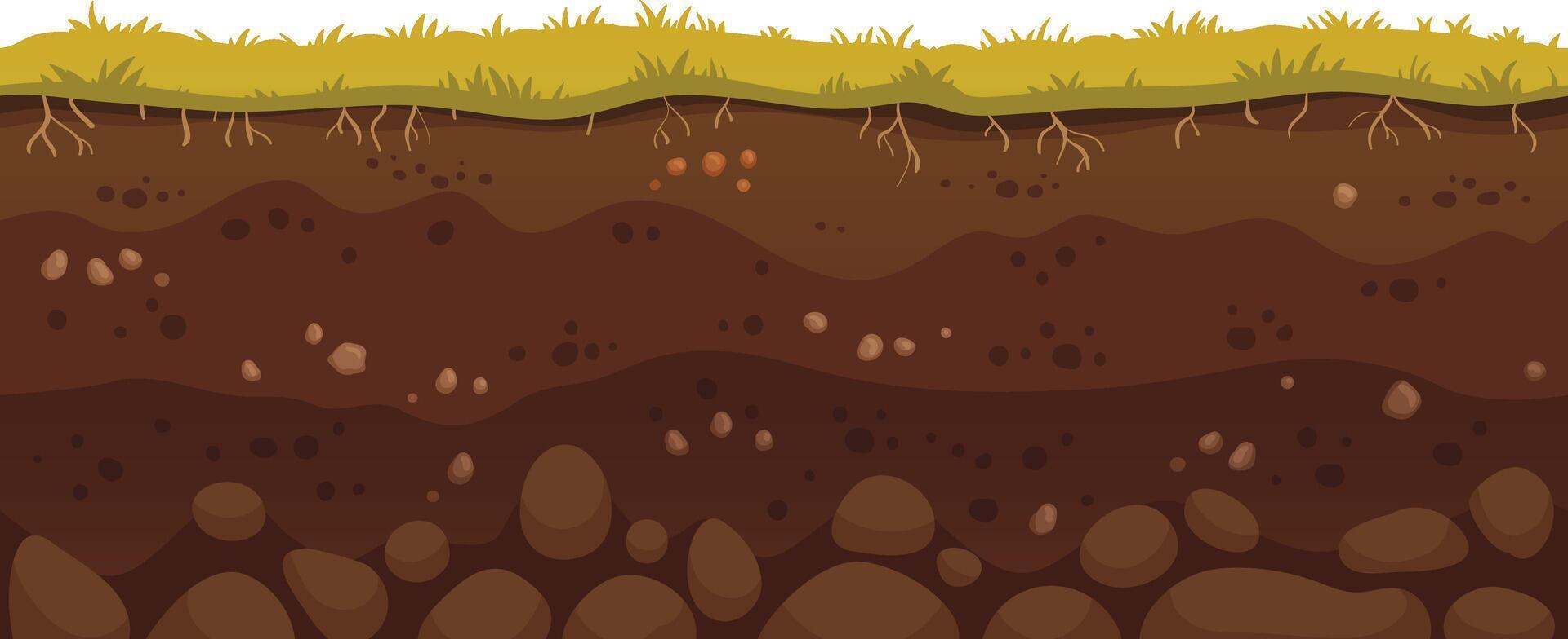 Green grass growing on brown soil layers with visible roots and rocks, representing a healthy and fertile ground perfect for agriculture and gardening vector