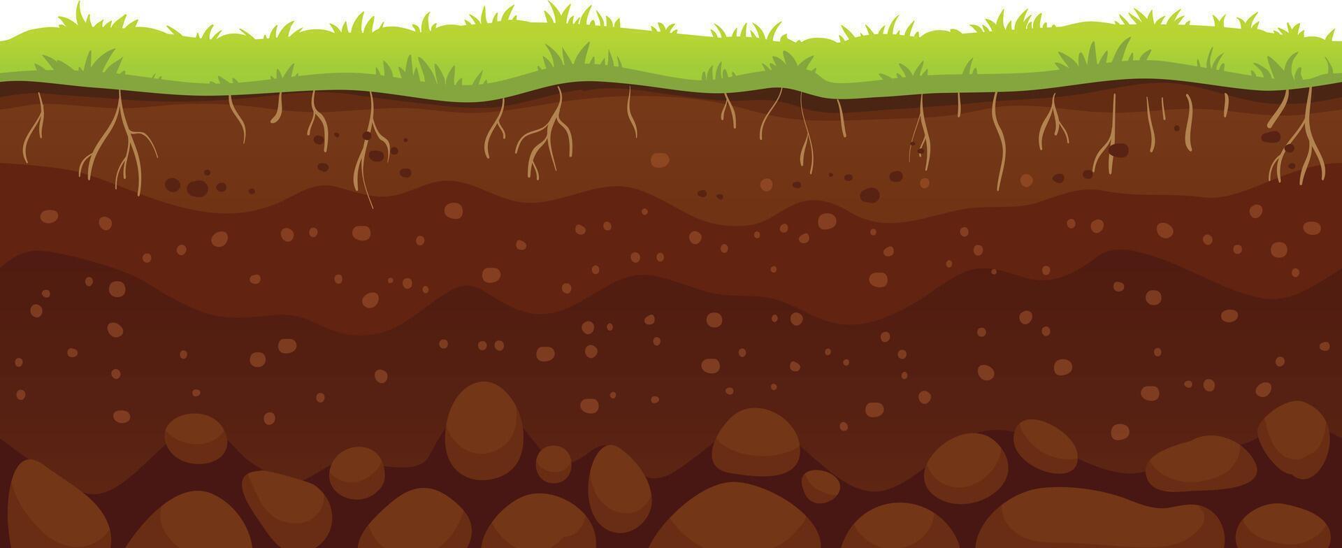 Cartoon illustration of soil layers with grass growing on top, roots visible underground, and stones at the bottom, representing a healthy ecosystem vector