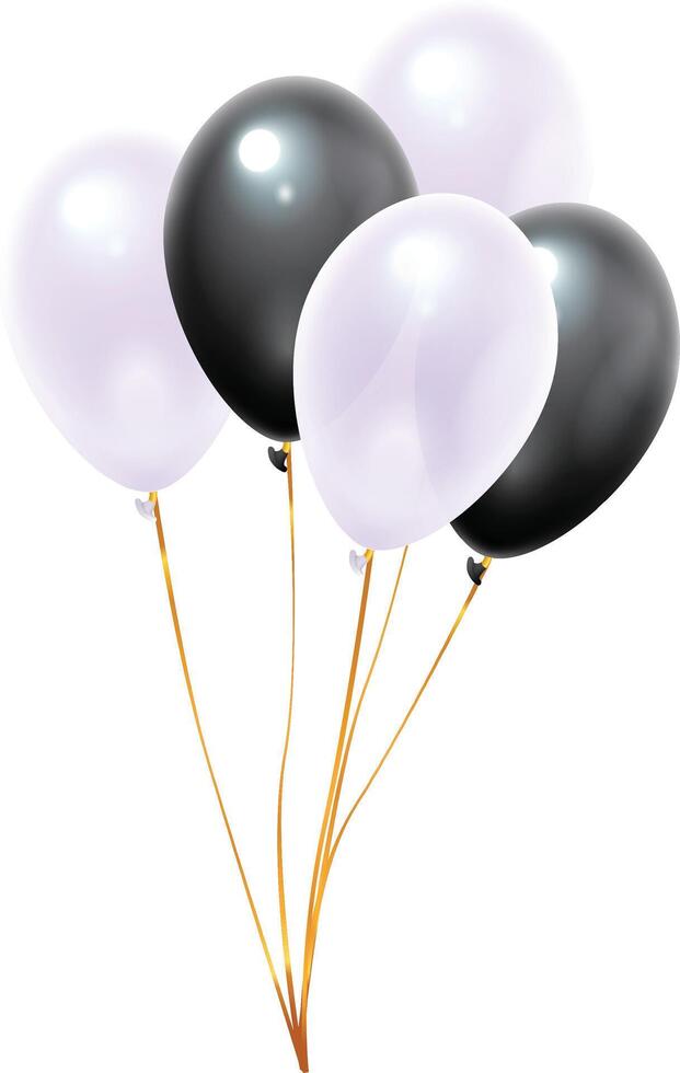 Bunch of inflated black and white balloons floating gracefully with shimmering gold ribbons, creating a festive atmosphere for a party or birthday celebration against a clean white background vector
