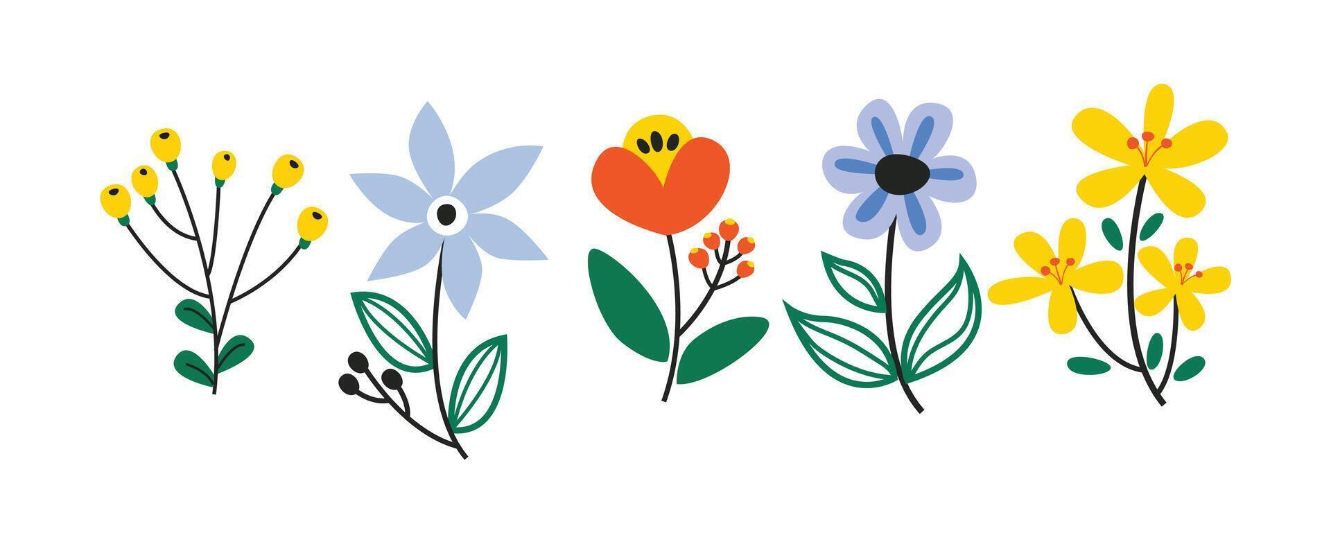 Field and meadow wildflowers, herbs. Botanical natural design elements. vector