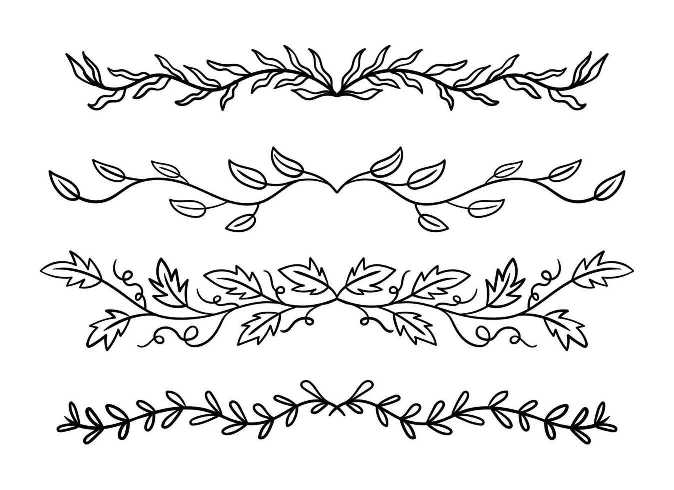 Hand drawn botanical floral elements vector