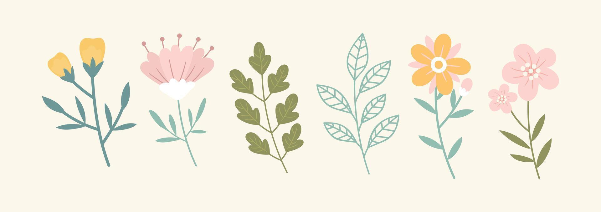 Collection of spring colorful flower elements . vector