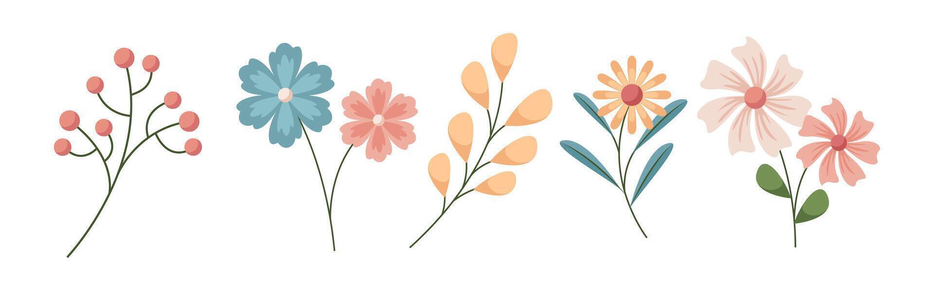 botanical set with wild blooming floral plants vector
