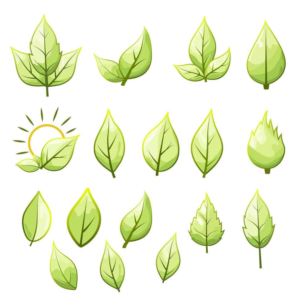 large collection of green leaf icons vector