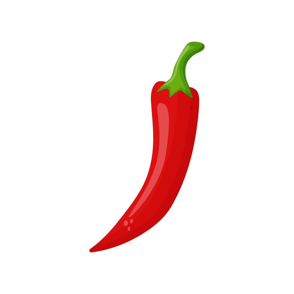 Red Chilli Pepper isolated on white background. Fresh Food Spice for Market, Recipe. Cartoon Flat Style. illustration for Your Design, Web. vector