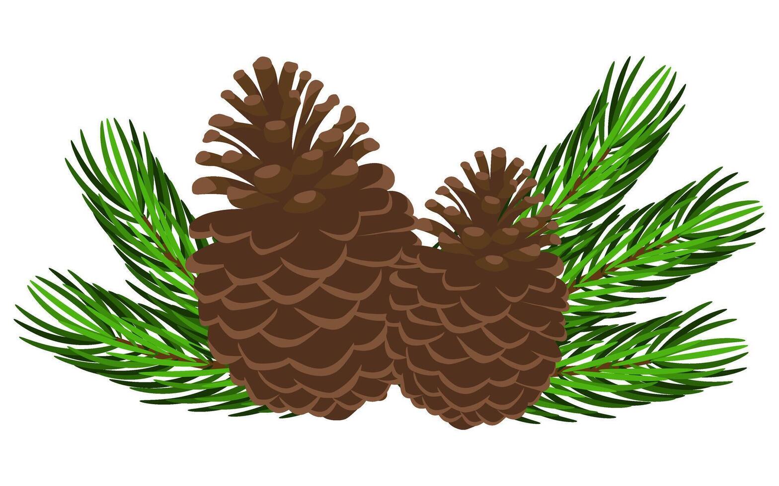 Pine cones with pine branches isolated on white background. illustration vector