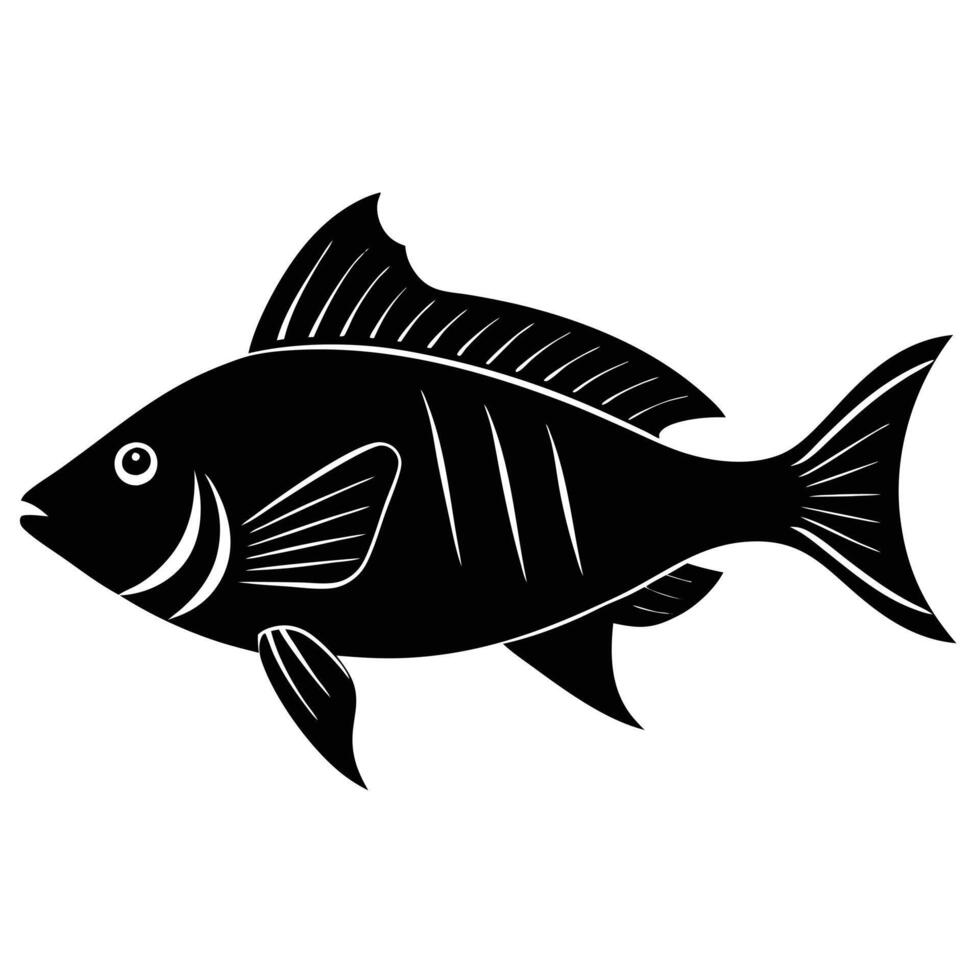 Hogfish Silhouette on White Background vector