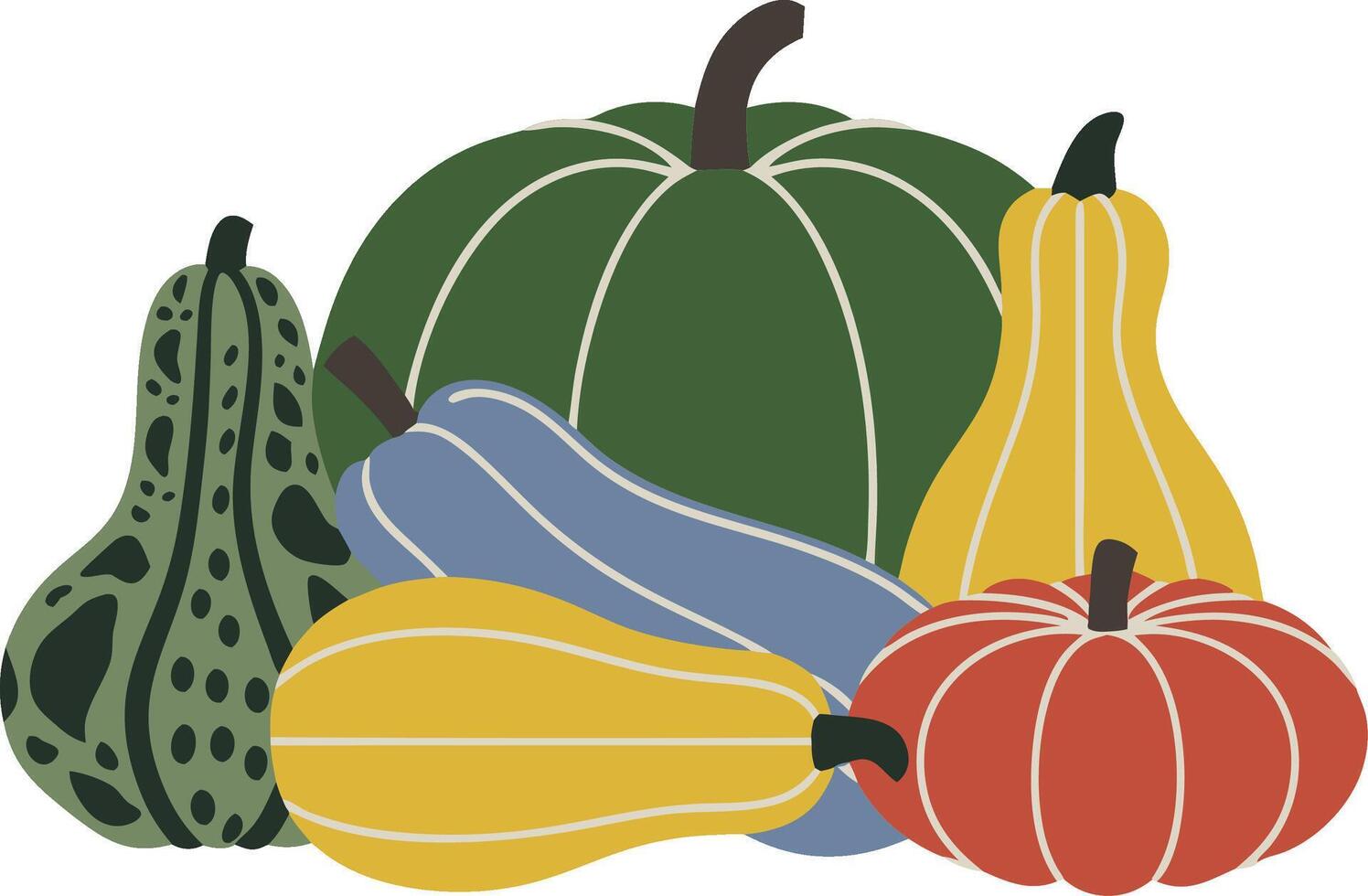 Colorful Autumn Squash and Gourds Illustration for Seasonal Decor vector