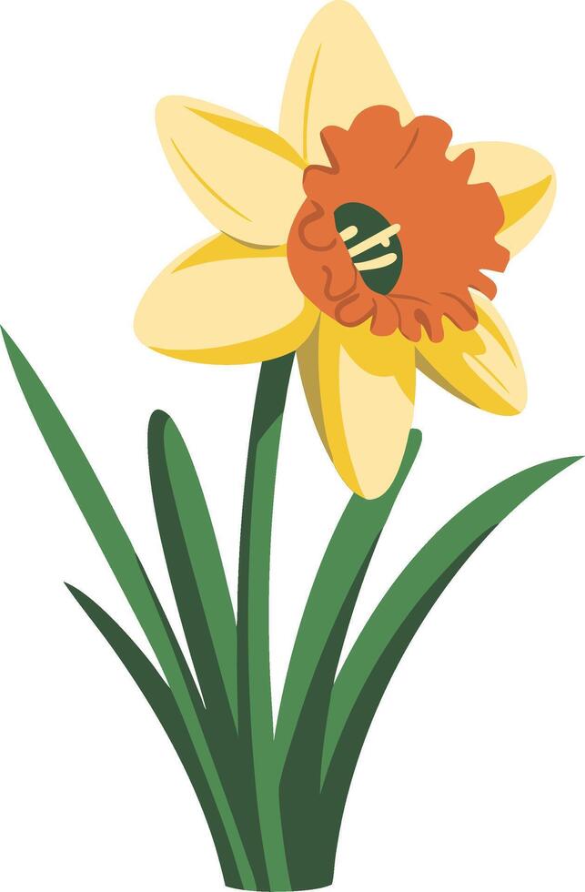 Yellow Daffodil Illustration Spring Floral Design Art Flower Decor vector