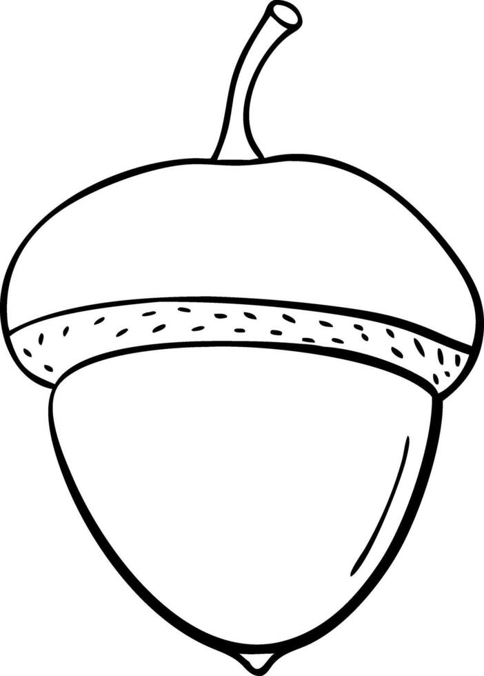 Simple Black Outline Acorn for Nature Designs and Illustrations vector