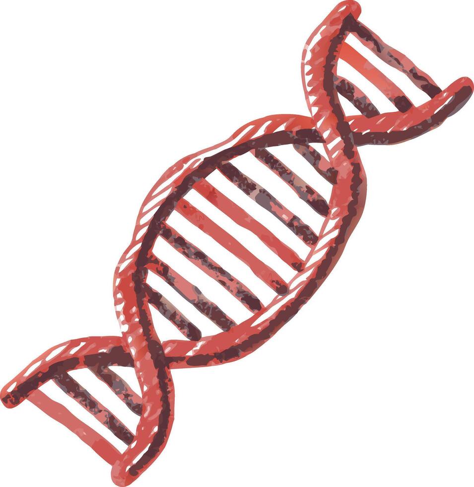 DNA Helix Illustration Genetics Science Molecular Biology Design vector