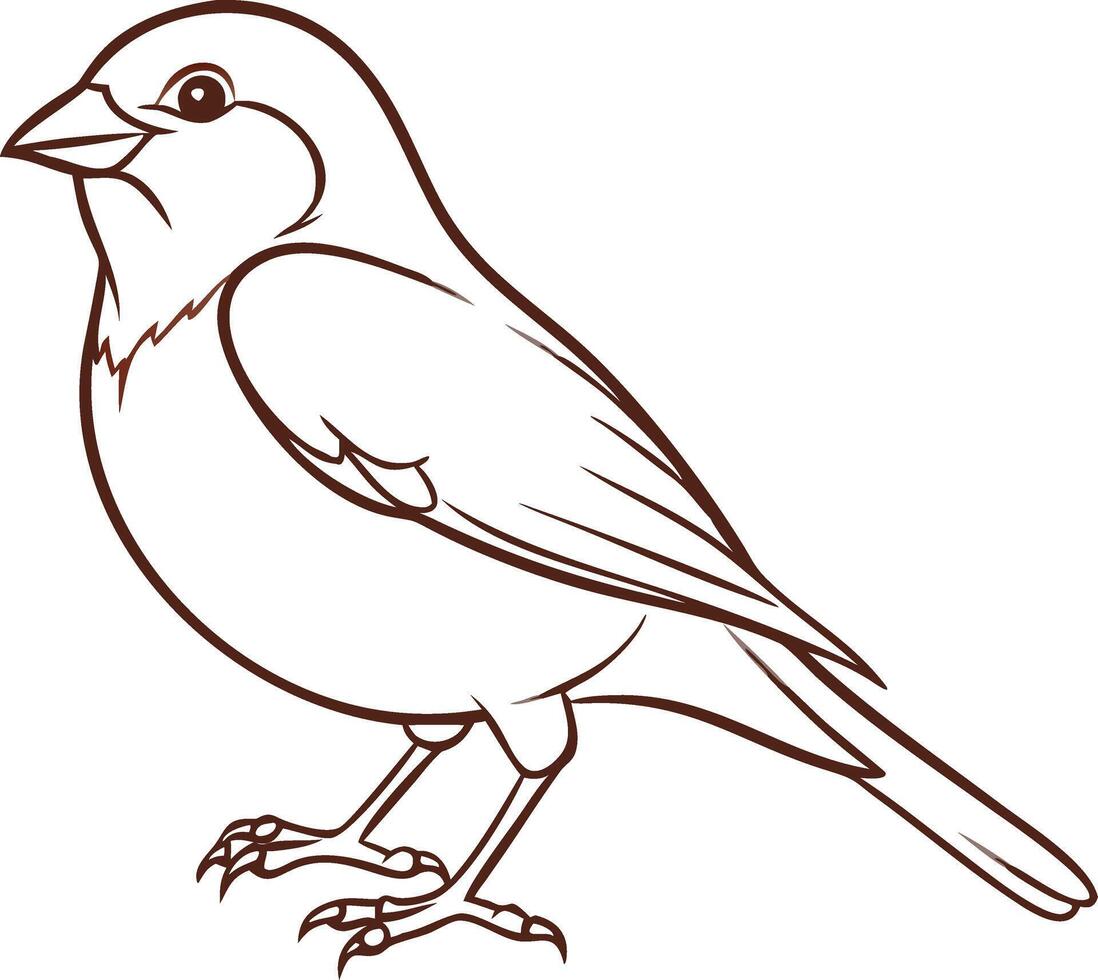 Detailed Illustration of Sparrow Bird Outline for Nature Projects vector