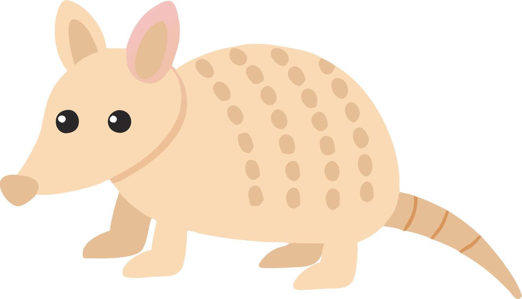 Cute Armadillo Illustration for Educational and Wildlife Resources vector