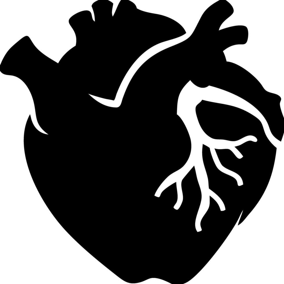 Anatomical Heart Silhouette Illustration for Medical and Educational Use vector