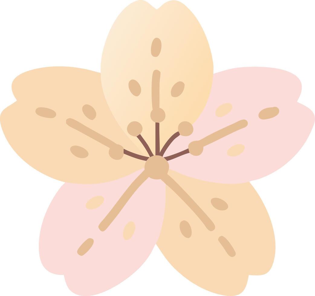 Illustration of Japanese Sakura Flower Petals for Floral Design and Decorative Art vector