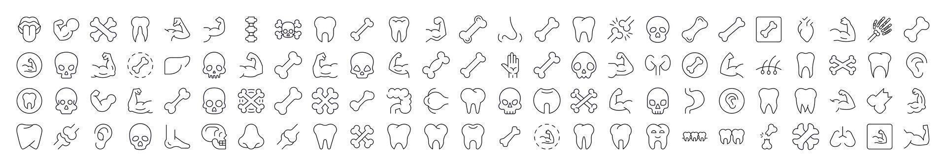 Internal Organs, Teeth and Bones Related Line Icons for Web Sites, Books, Cards, Apps. Editable Stroke. Suitable for Web Sites, Books, Cards, Apps vector