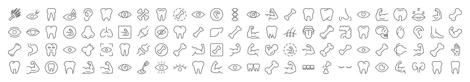 Bundles, Eye, Tooth, Muscle, Internal Organs Pictures Drawn with Thin Line. Collection of Various Design Elements that Can Be Used for Apps, Articles, Web Sites, Social Media vector