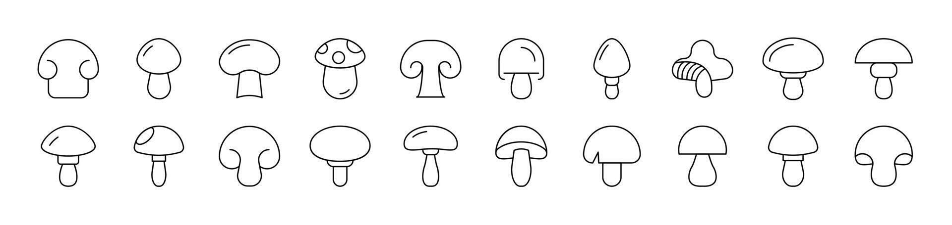 Mushroom Related Line Icons for Web Sites, Books, Cards, Apps. Editable Stroke. Suitable for Web Sites, Books, Cards, Apps vector