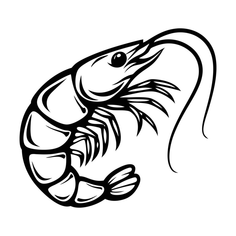 shrimp, black and white illustration vector